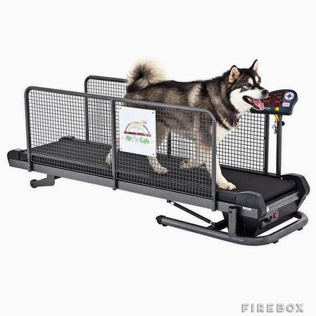 Awesome Dog Product Professional Treadmill Animal Land Pet Movers