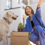 Essential Considerations Before Hiring Pet Moving Services